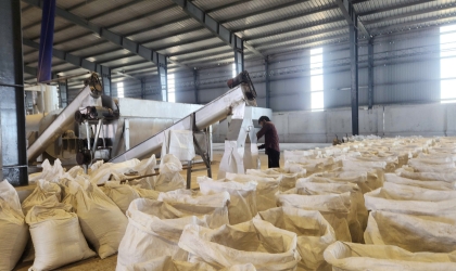 Báo giá bột cá 65% cho thức ăn chăn nuôi – Cập nhật mới nhất 2026