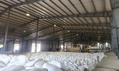 Tăng trưởng ngành chăn nuôi và nhu cầu bột cá 60%