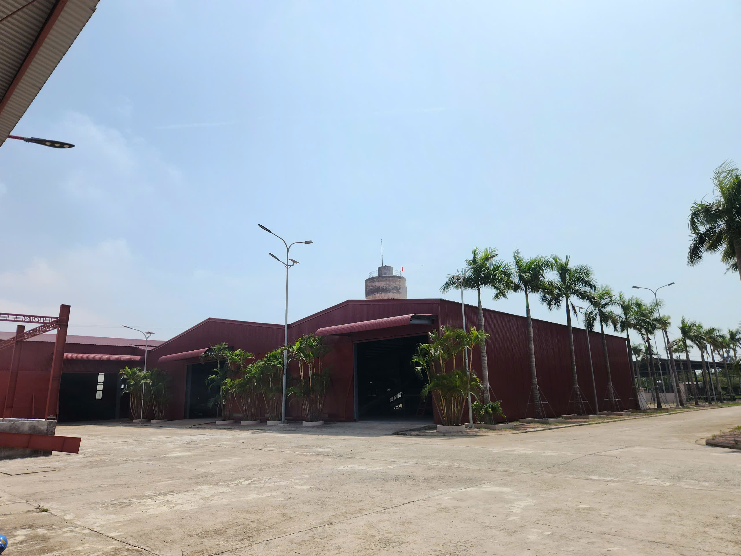 Bột cá trong công thức thức ăn chăn nuôi: vai trò và lưu ý